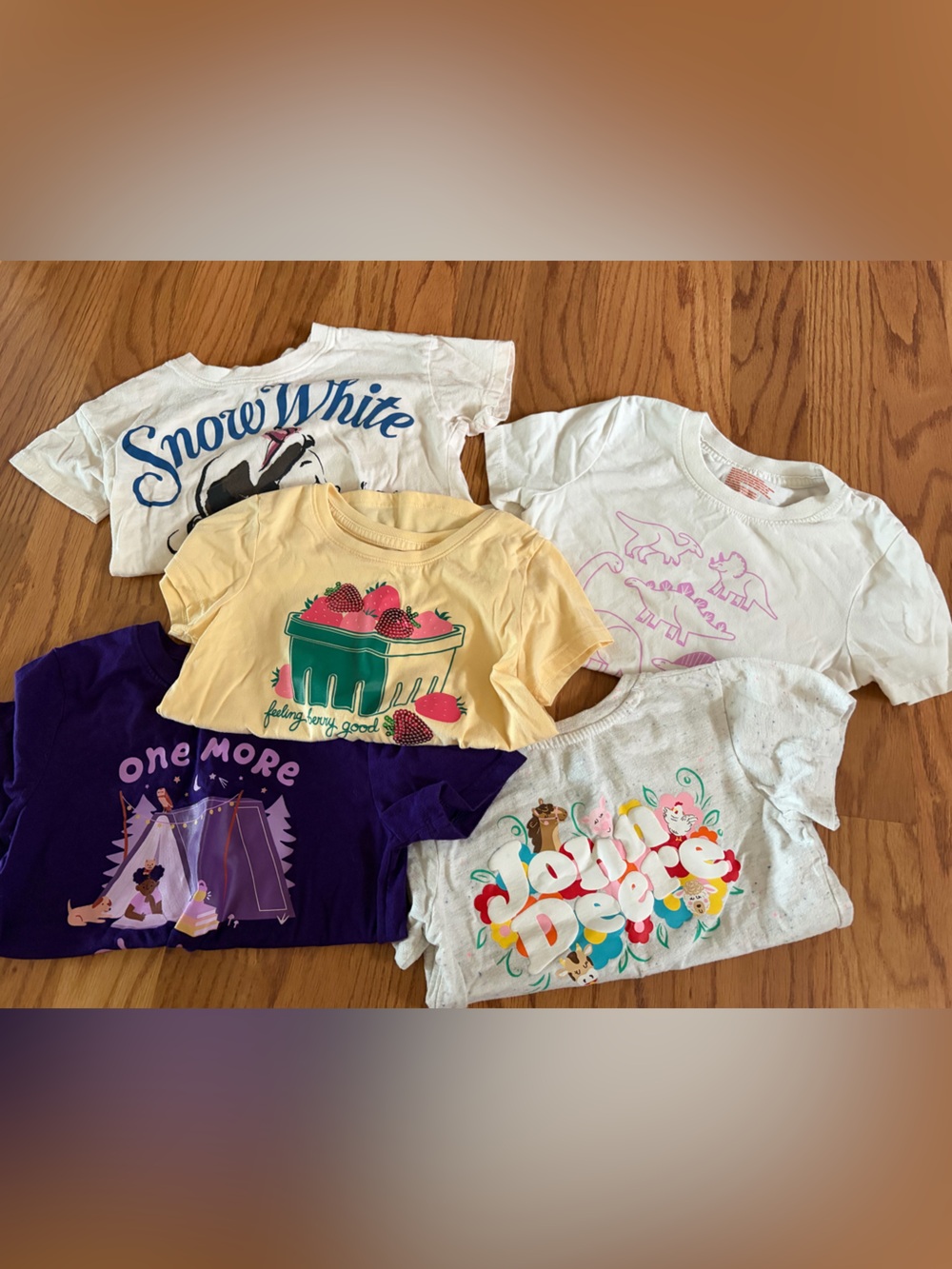 Bundle of Gently Used Girls 4T/5T Tshirts